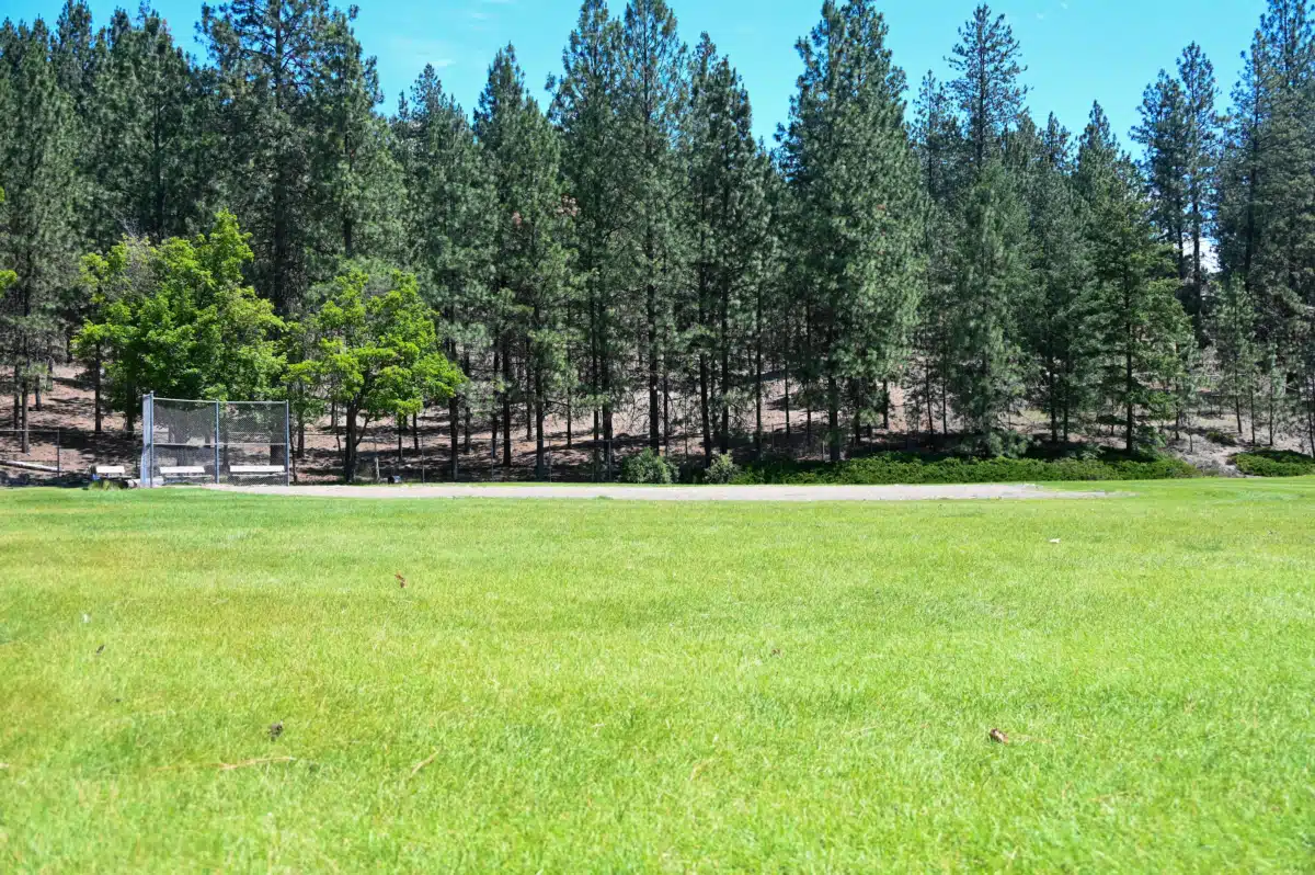 Excelsior Wellness Center