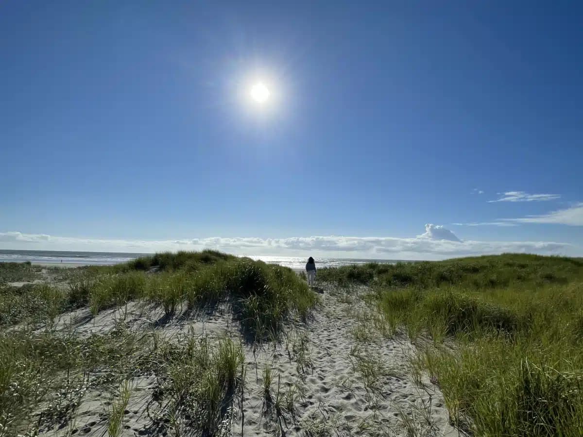 Free by the Sea - Hero Image